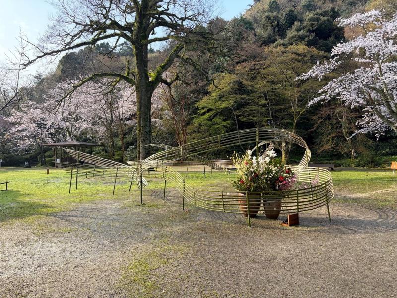 公園内の様子